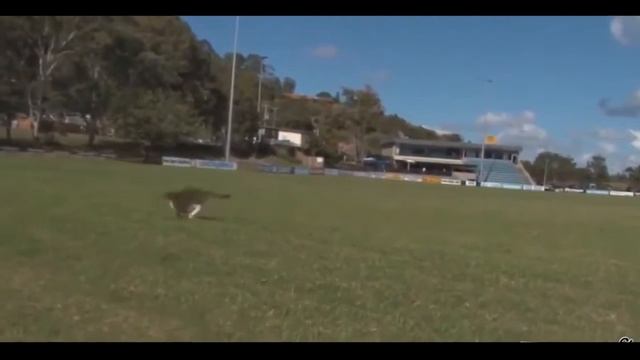 De78cc86c897926abf5f34d5288d55bd