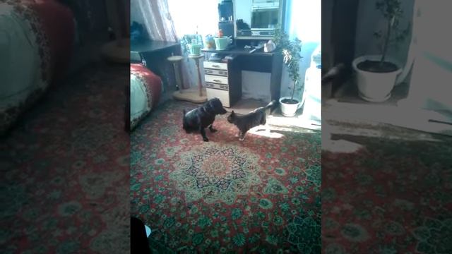 Закадычные друзья!!!!!