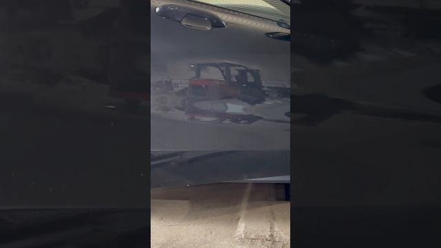 Волос: мощь и красота в движении