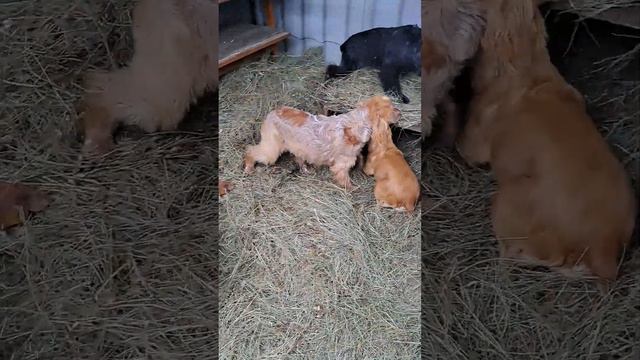 047308a2ac78ad7ff88c0d9dcb769651