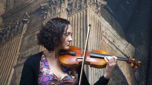 4/4 Maggini Violin Www.violinstore.com.au