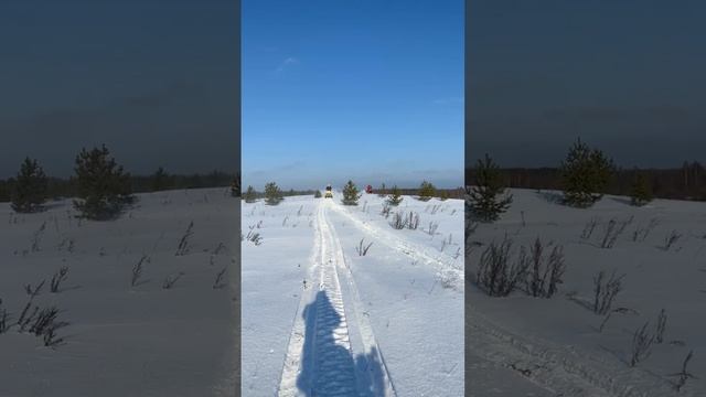 катаем на снегоходе #снегоход #brp #валим #зима #валимбоком #пилим #катаем #кот #summit #polaris