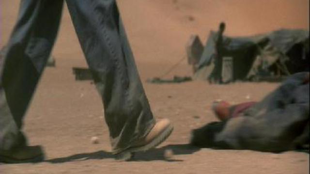 Полет Феникса (лидерство)