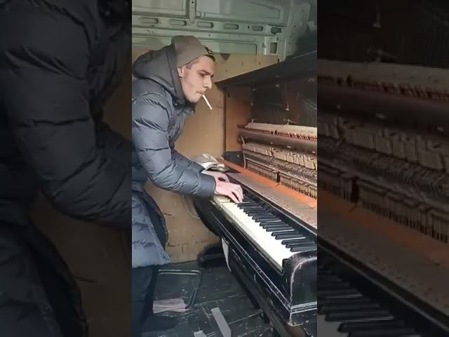 Этапировали старого, породистого немца в любимый бар Буфет