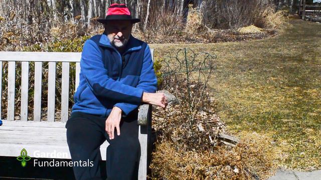 Growing Clematis Alpina In A Container  🏅🎈🎒 Small Spring Blooming Clematis