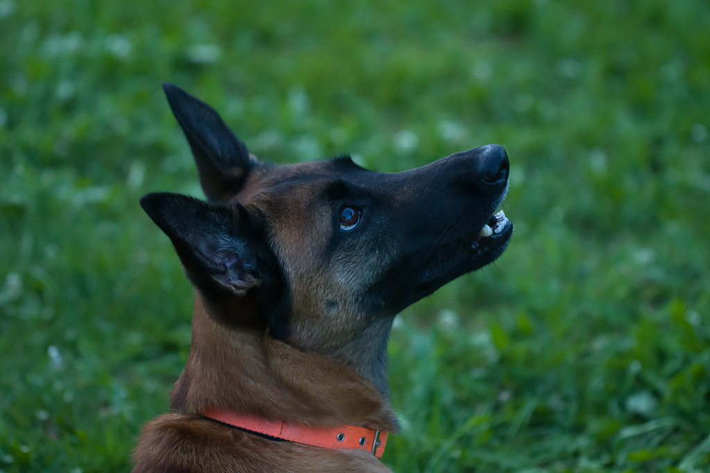 50e8814d41707e9d2ae09dea4a4f6711