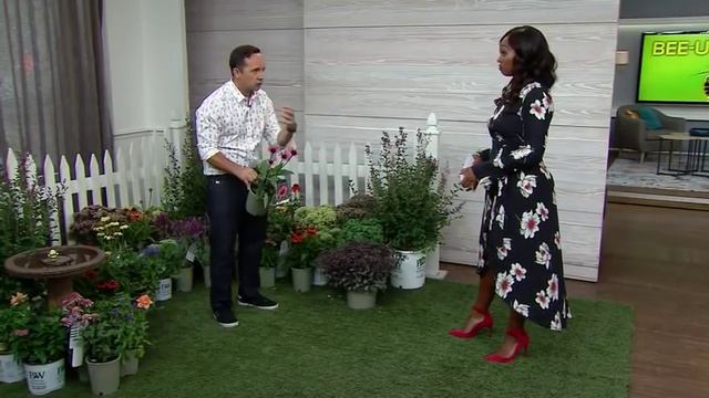 B3d212f6b0689b30bd9f4eb75e50eed2