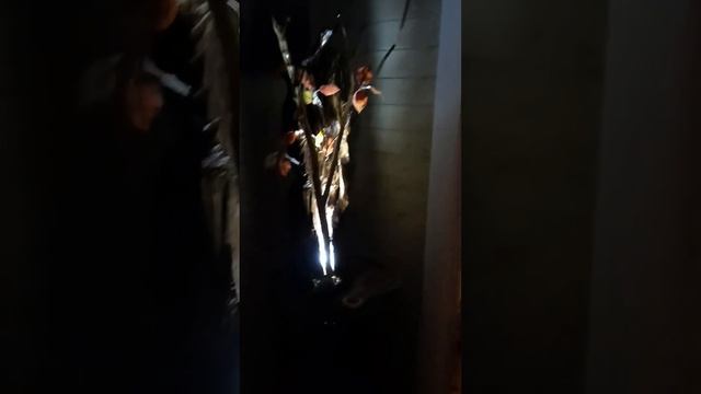 Ночник ручной работы! Декор дома! Дуб,ель,можжевельник!.mp4