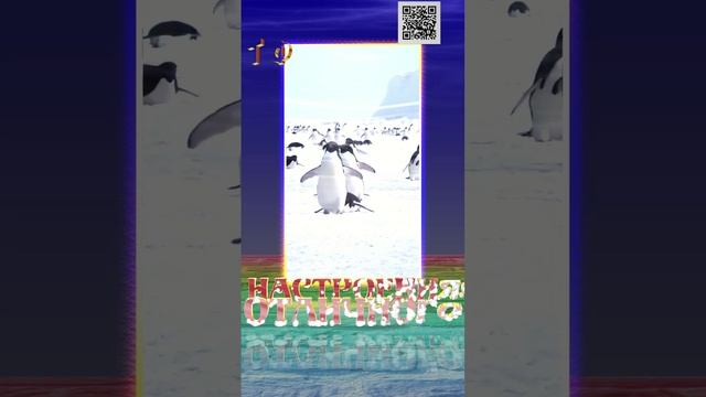 3d418c2f097757bebdbb068a28285a51