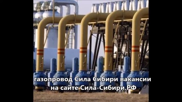 Газопровод Сила Сибири вакансии на сайте Сила-Сибири.РФ