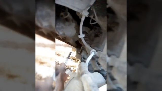 Силовой свет