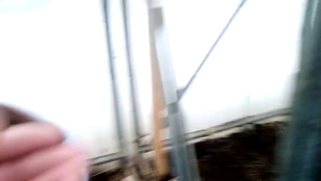 D07a86f2781e6ae11cec8ed031a4d09b