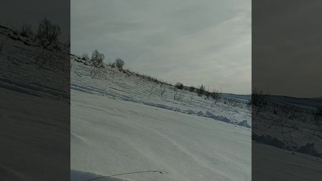 VID_137491203_172321_576.mp4