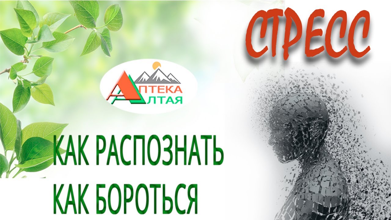 Стресс. Что это такое, как его распознать и как с ним бороться
