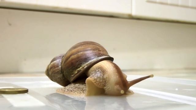 Бьюти Тренды