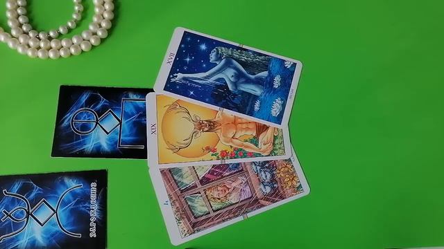 C6fa9bbb756c59e141cc36866c430a44