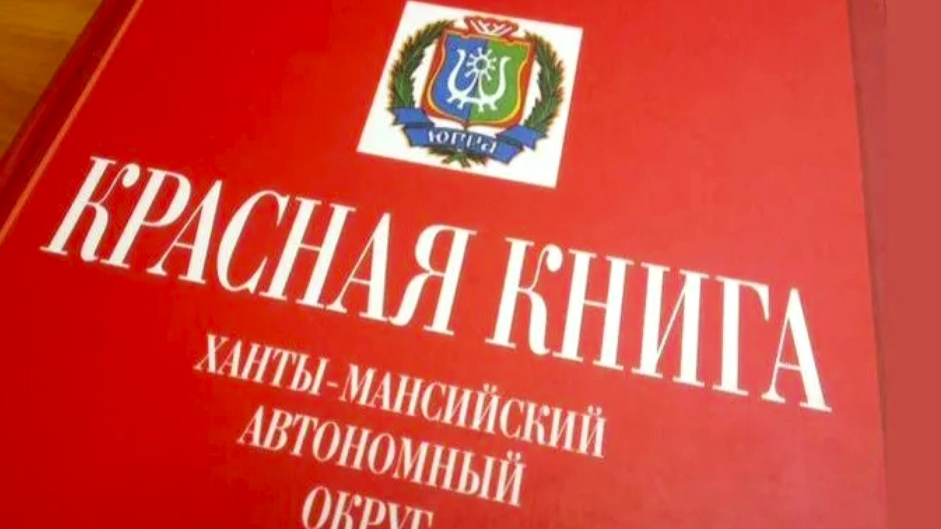Чай курильский чай. В Югре обновляют Красную книгу