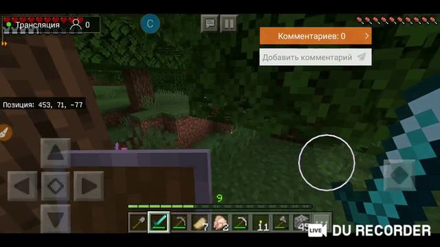 играю в Minecraft 1.13.1