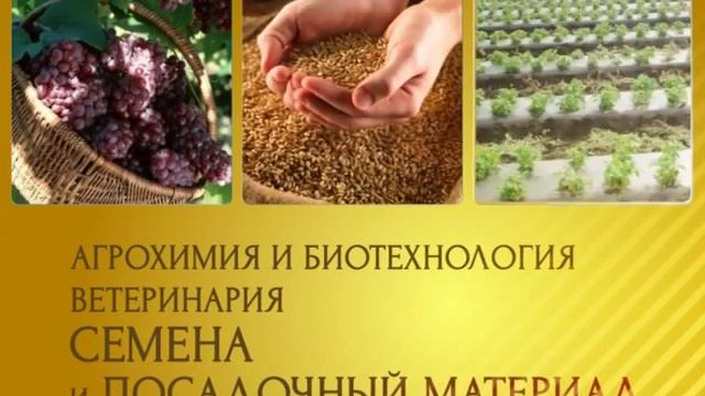 Рекламный ролик выставок 