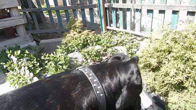 B35ab1bdd30eb13545e1877039da162c