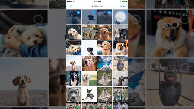 Monument App - Add Photos To An Album