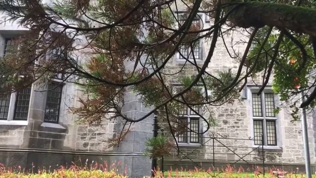 поход по магазинам|Happy Thursday. Friday is not far away. Enjoy every moment.