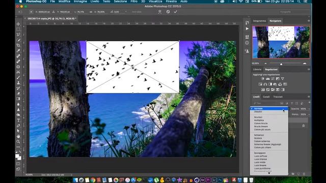 INCOLLARE Un'immagine A SFONDO BIANCO Su PHOTOSHOP In Meno Di 10 Secondi