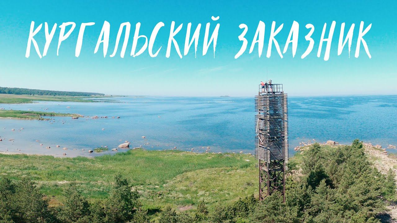 KURGALSKY NATURE RESERVE | Кургальский заказник (ЛО, 2022)