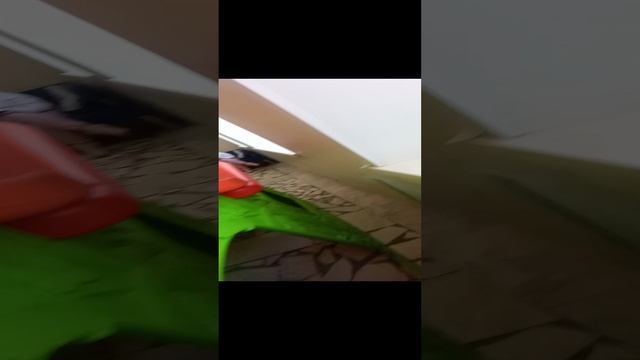 6757f43c7c19f4626309c37cbcced8b1