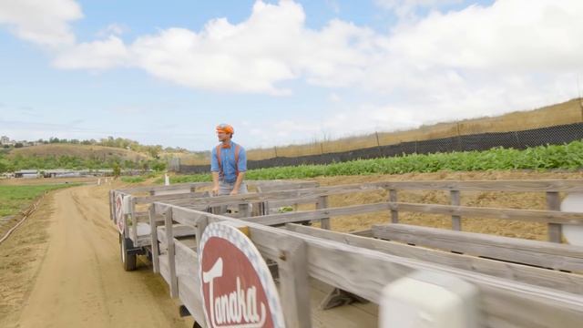 7ba115b4567b153f80bec47548ce9905