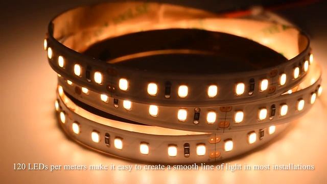 Best Manufacturer: High CRI 98 120LED Full Spectrum 5M 3000K 4000K Led Strip Light #lights
