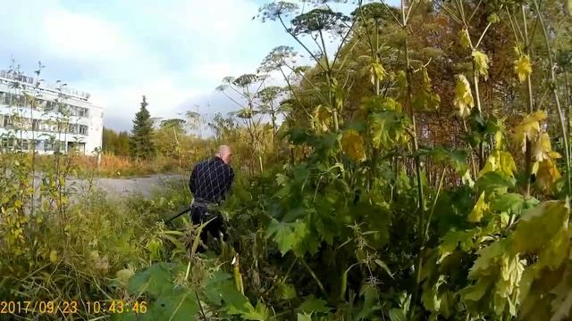 ТАМЕШИГИРИ