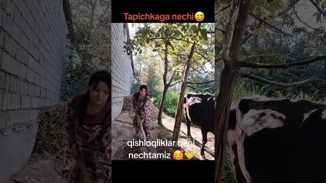 992e55d7c90df2972223ce3ca1b50eae