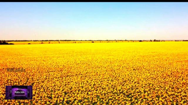 #I_will #live #because I #want To #live #Я #хочу #жити