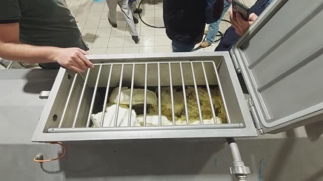 ТуркПрцесс - Uzermak CS-200 сыроплавитель объемом 200 кг