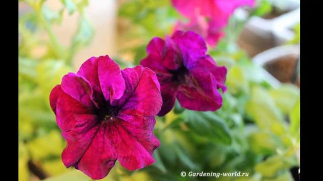 4ca28b6072d58bdef56afbc93224a7eb