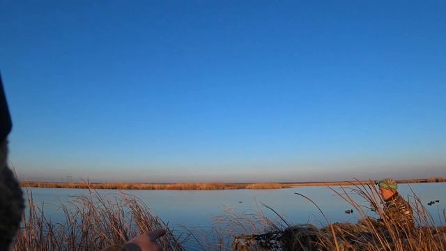 ОХОТА НА УТКУ