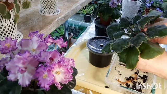 55d6a5c1d001e9e1a56e37aa1e04f8c9