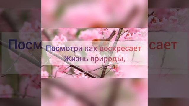 Пасхальная песня «Вновь на праздник воскресенье Христа».