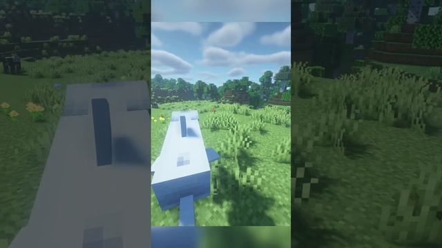 Факты майнкрафт - Дельфин