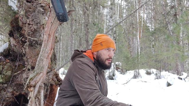 Работа в лесу