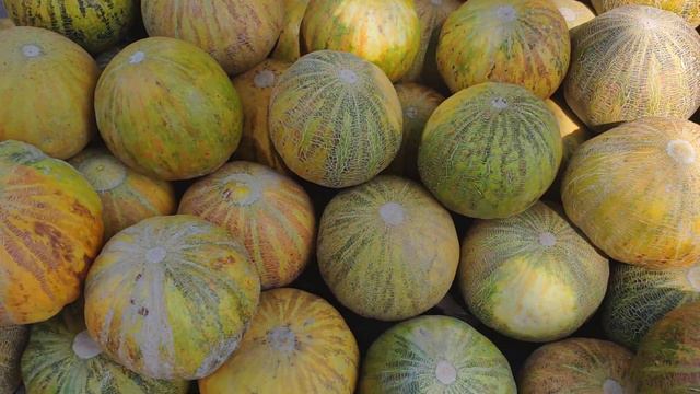 1ec07a1422bb20d2a18ab340083a25dd