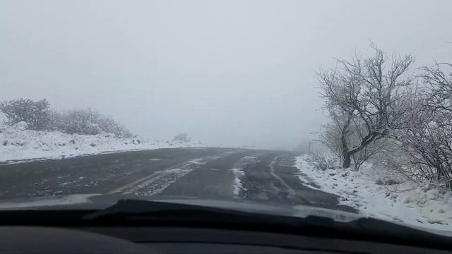 Giveaway Winner Announced!