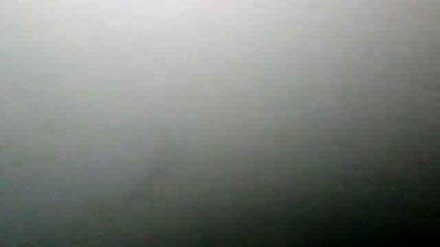 ДВС 2.5 N52B25 пластик без навес BMW 5 E60 (ОАЭ к19, №3, AF)