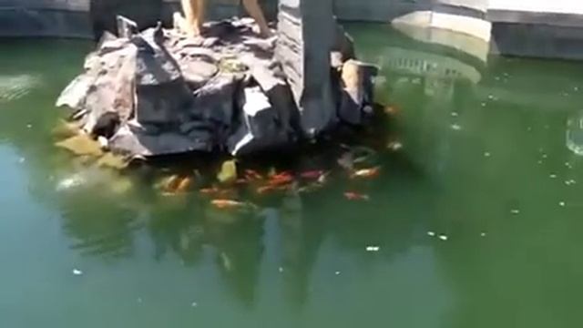 1 мая в алуште