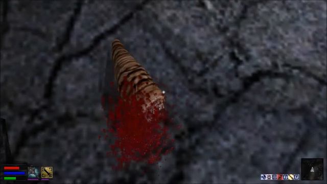 ► Let's Play Morrowind | Part 4: Ranis' Requests [1080p ᴴᴰ]