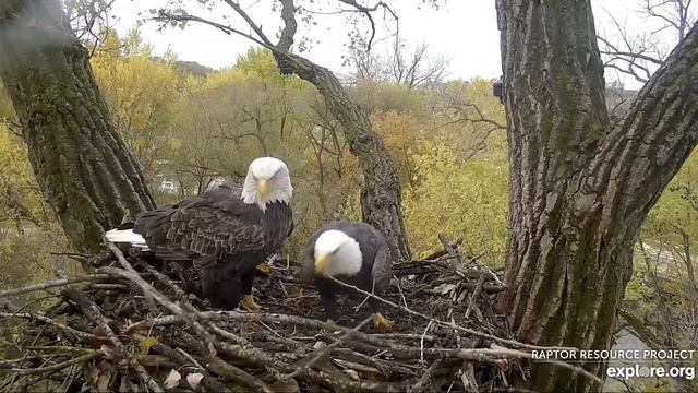 Decorah Eagles Mom & DM2 Get A Little Testy 10/24/19