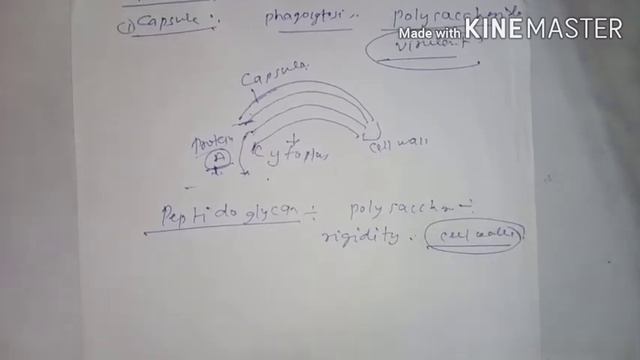 Staphylococcus Aureus, Culture Characteristics, Antigenic Structure, Pathogenesis And Lab Diagnosis
