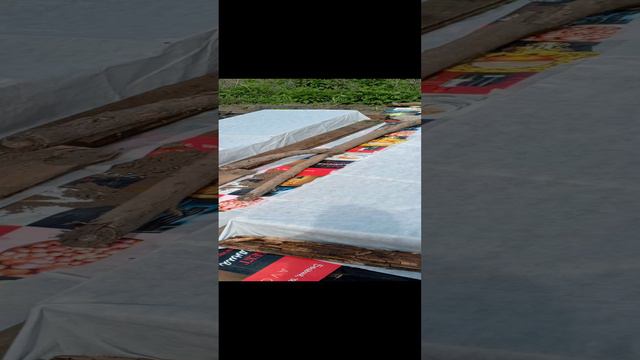 дача, посадки начало мая 2024