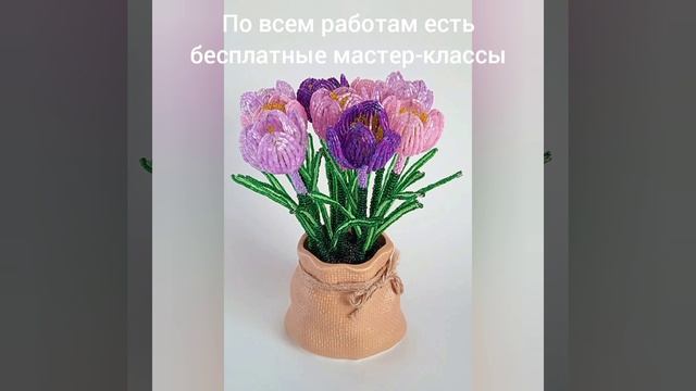 D5c0df81148ea35fc12052c4e91fb3bf